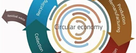 New practical elements of Circular Economy
